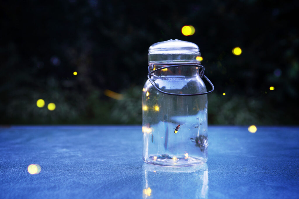 Catching Lightning in a Bottle Menlo Ventures